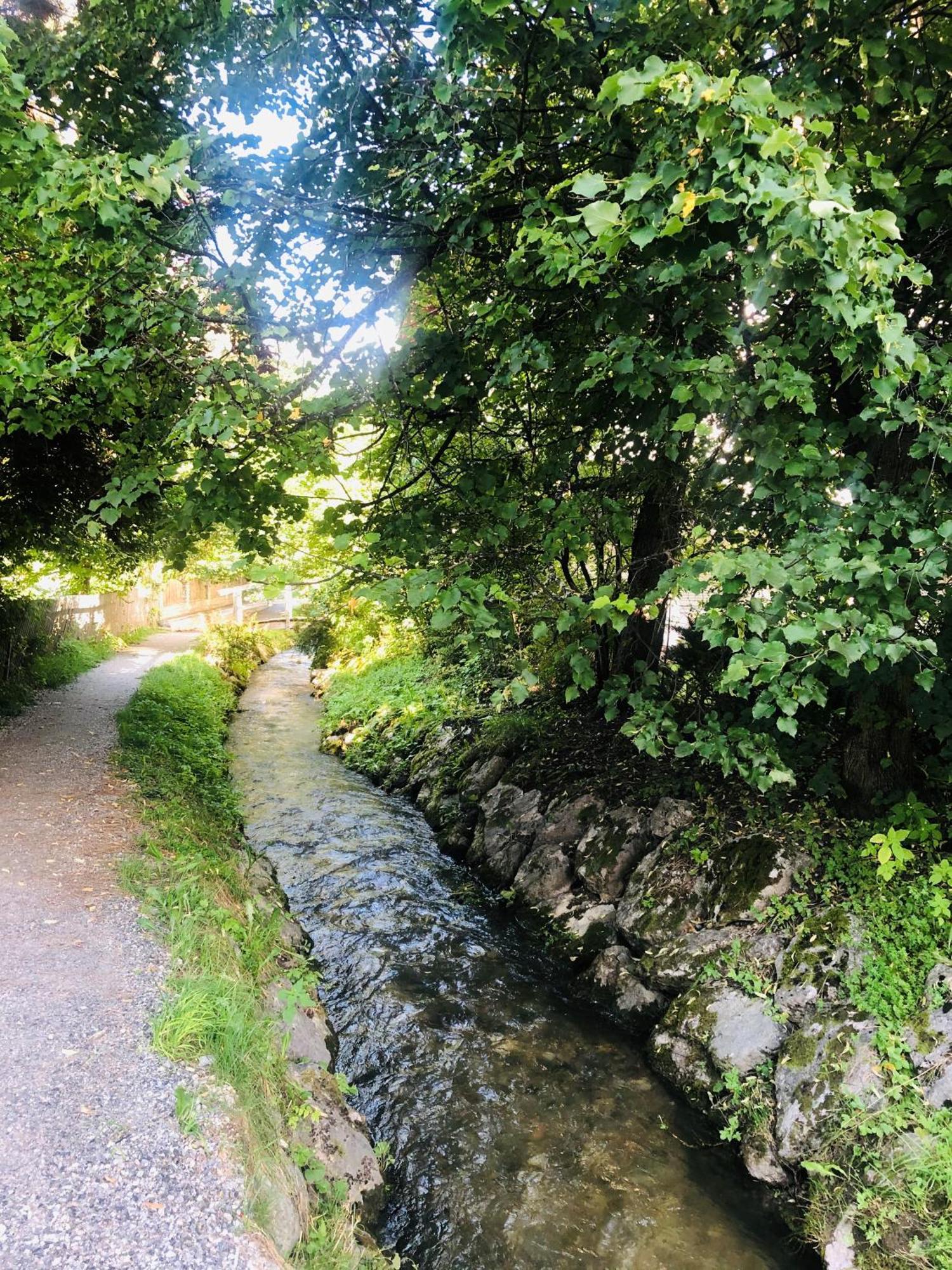 Haus Barbarahof Daire Altenmarkt im Pongau Dış mekan fotoğraf